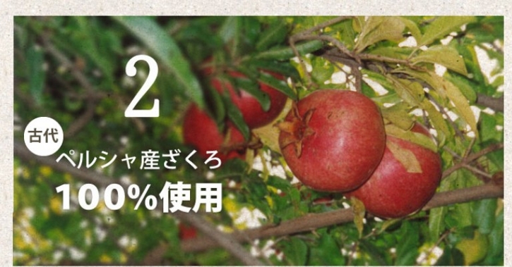 �U�N���W���E�X�ɂ���